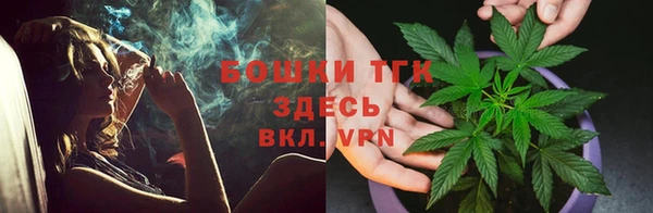 твердый Арсеньев