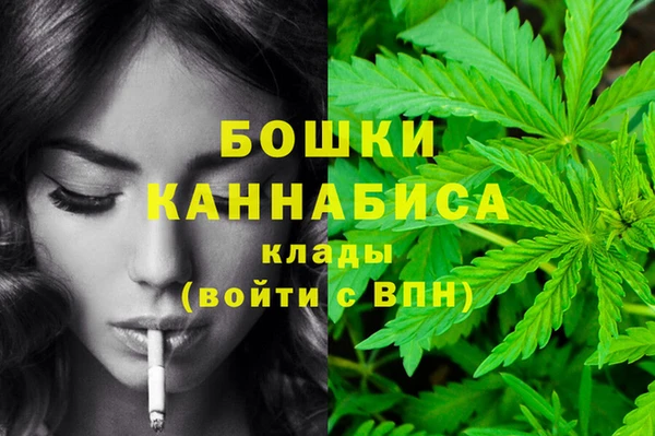 твердый Арсеньев